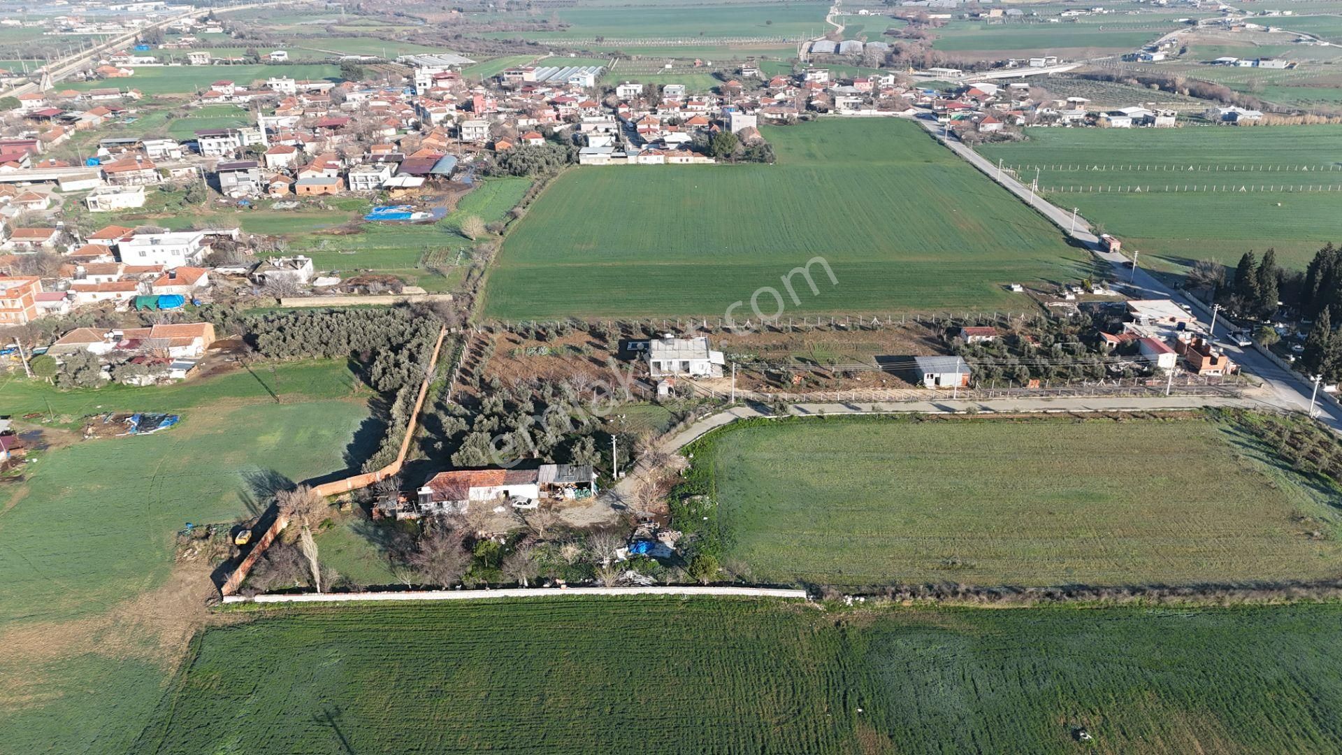 İzmir Menderes Develide 8,5dönüm Tek Müstakil Anayolda 3 Hisseli Tamamı Satılık - Görsel 15