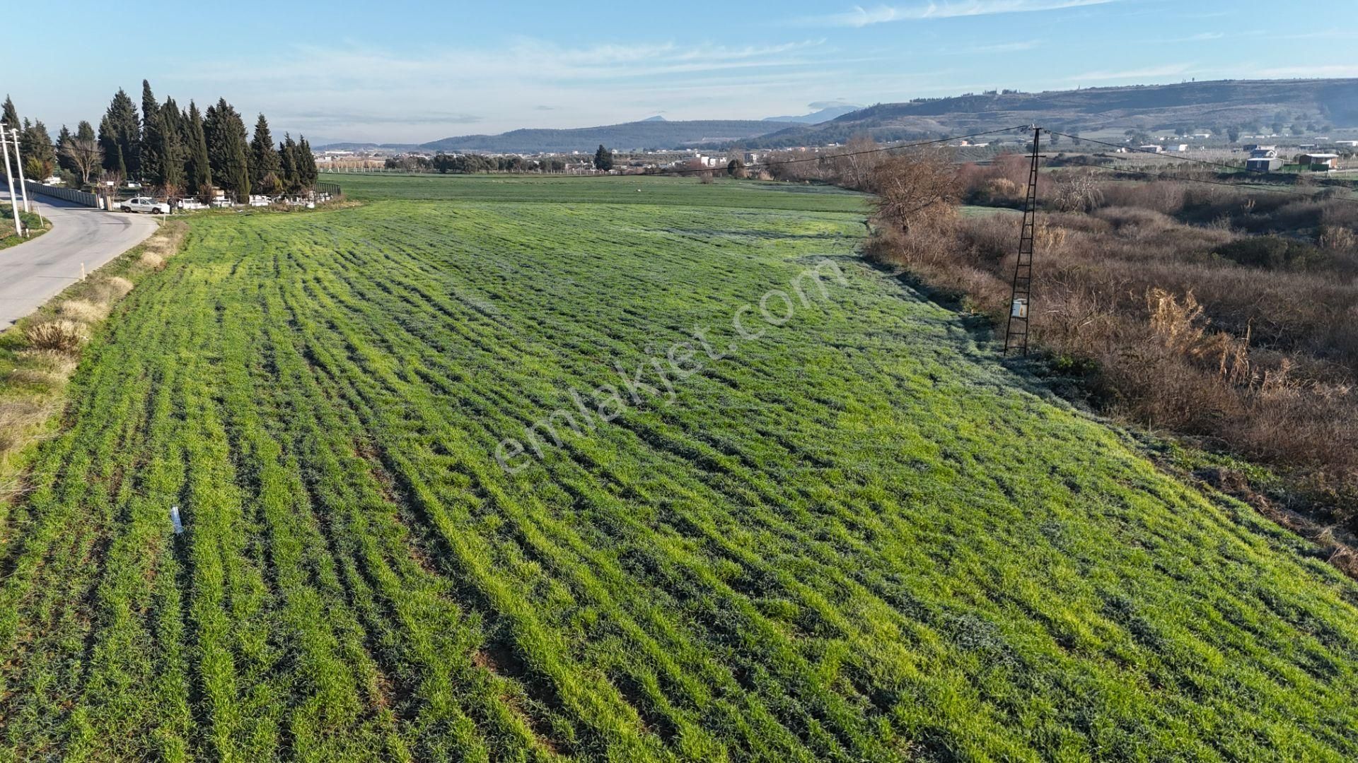 İzmir Menderes Develide 8,5dönüm Tek Müstakil Anayolda 3 Hisseli Tamamı Satılık - Görsel 23