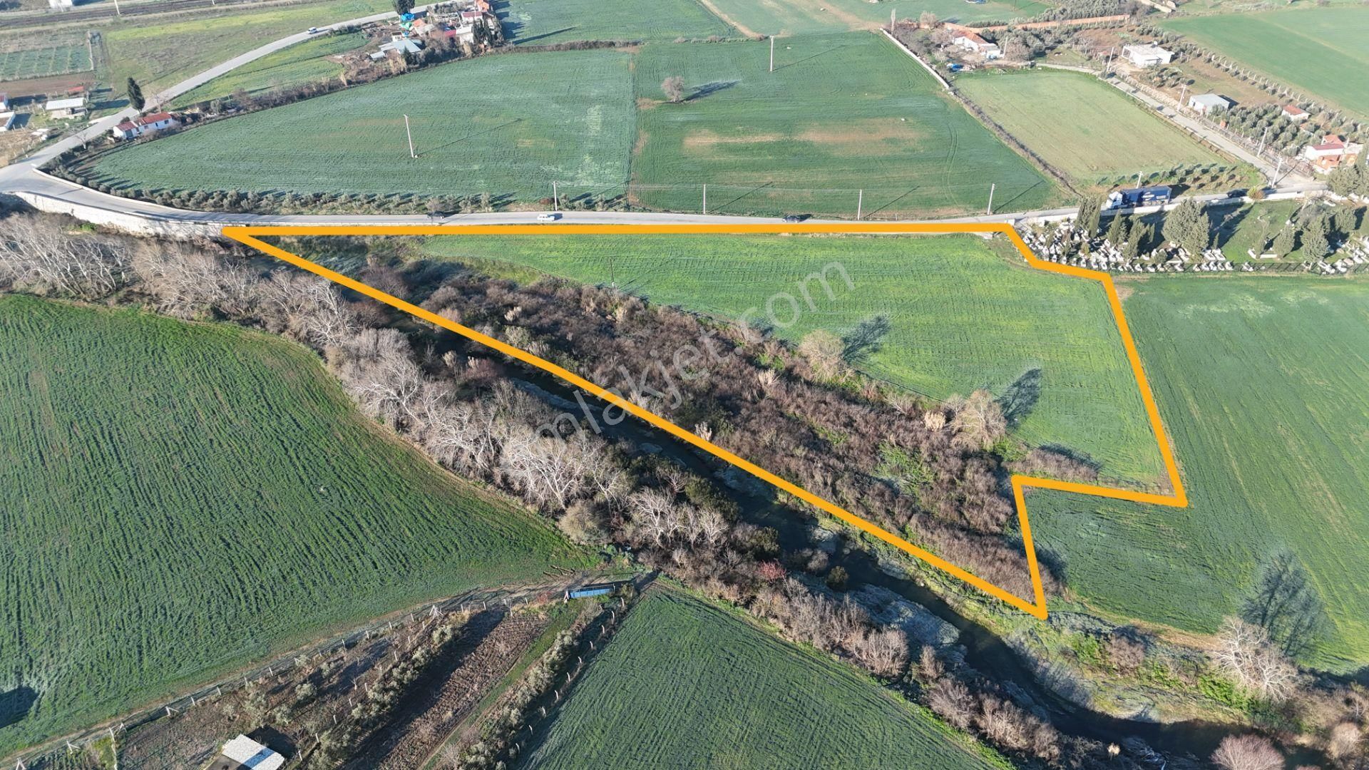 İzmir Menderes Develide 8,5dönüm Tek Müstakil Anayolda 3 Hisseli Tamamı Satılık - Görsel 4