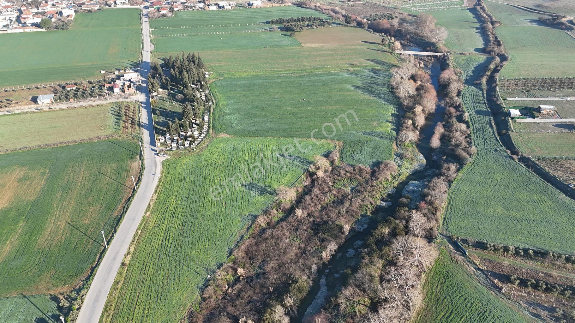 İzmir Menderes Develide 8,5dönüm Tek Müstakil Anayolda 3 Hisseli Tamamı Satılık - Görsel 27
