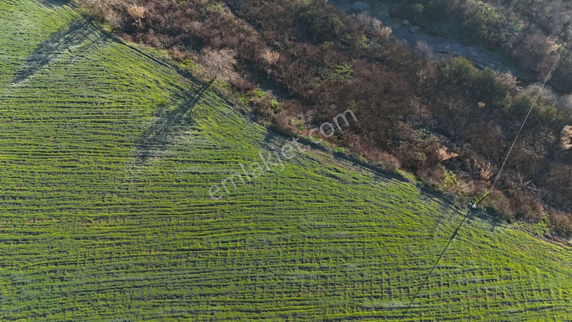 İzmir Menderes Develide 8,5dönüm Tek Müstakil Anayolda 3 Hisseli Tamamı Satılık - Görsel 16