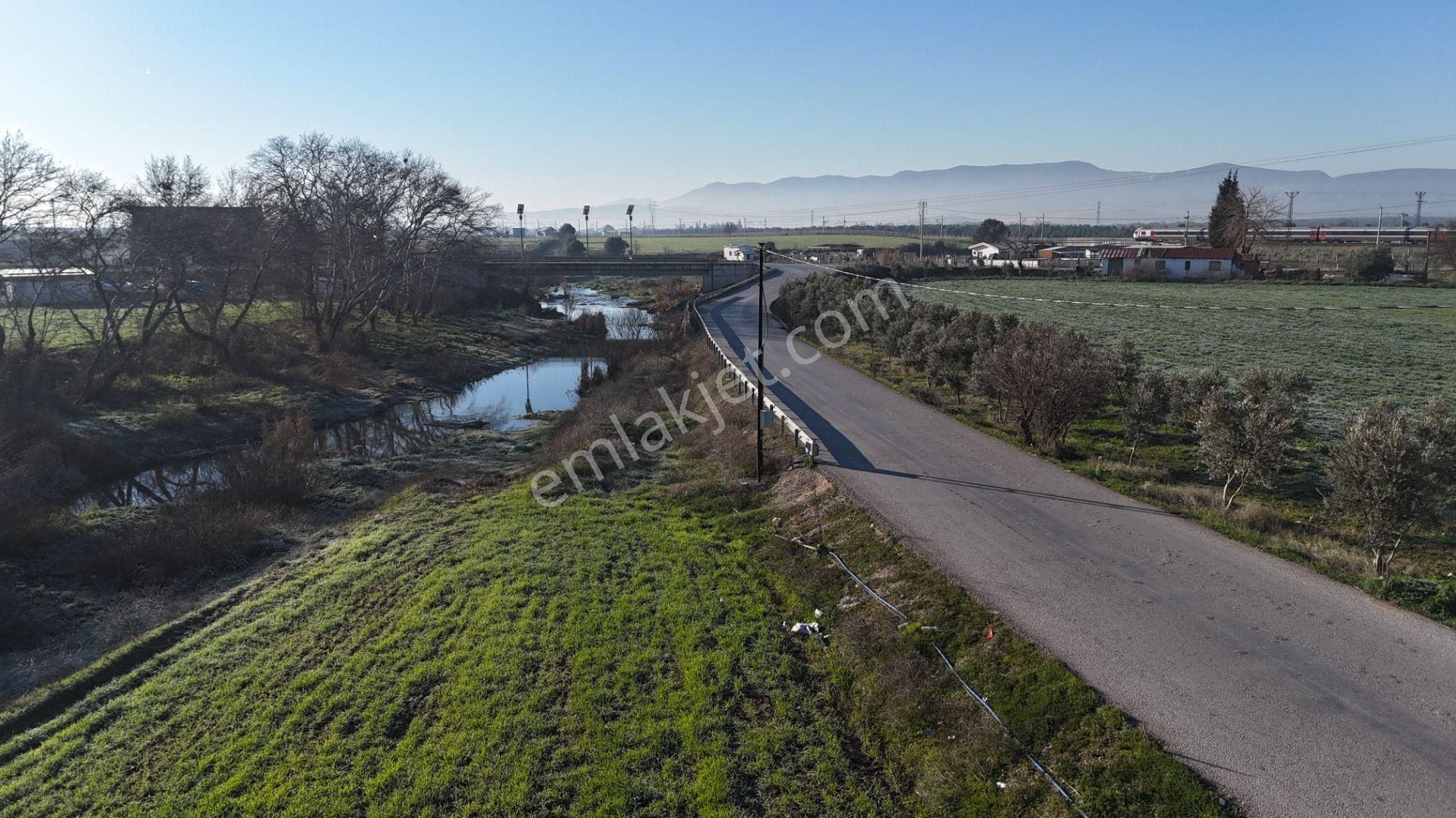 İzmir Menderes Develide 8,5dönüm Tek Müstakil Anayolda 3 Hisseli Tamamı Satılık - Görsel 13