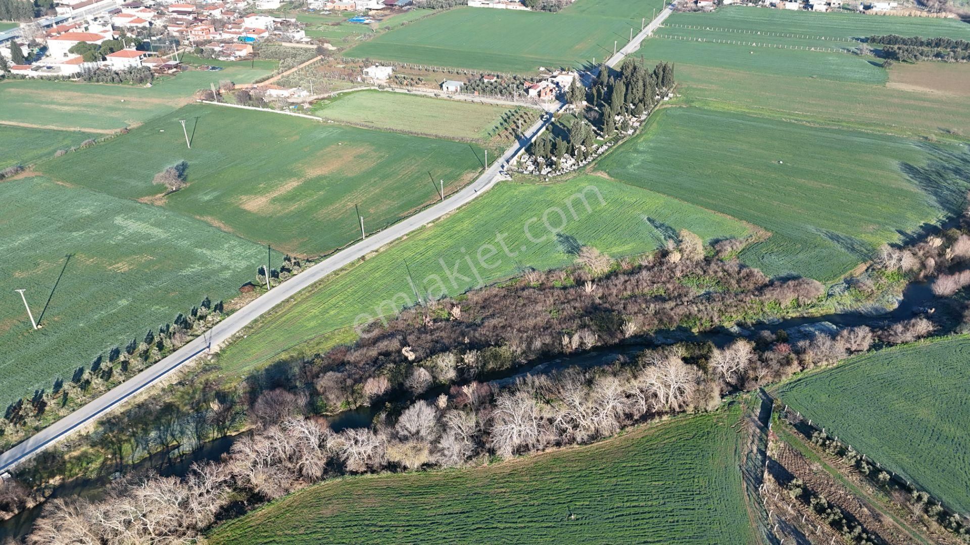 İzmir Menderes Develide 8,5dönüm Tek Müstakil Anayolda 3 Hisseli Tamamı Satılık - Görsel 35