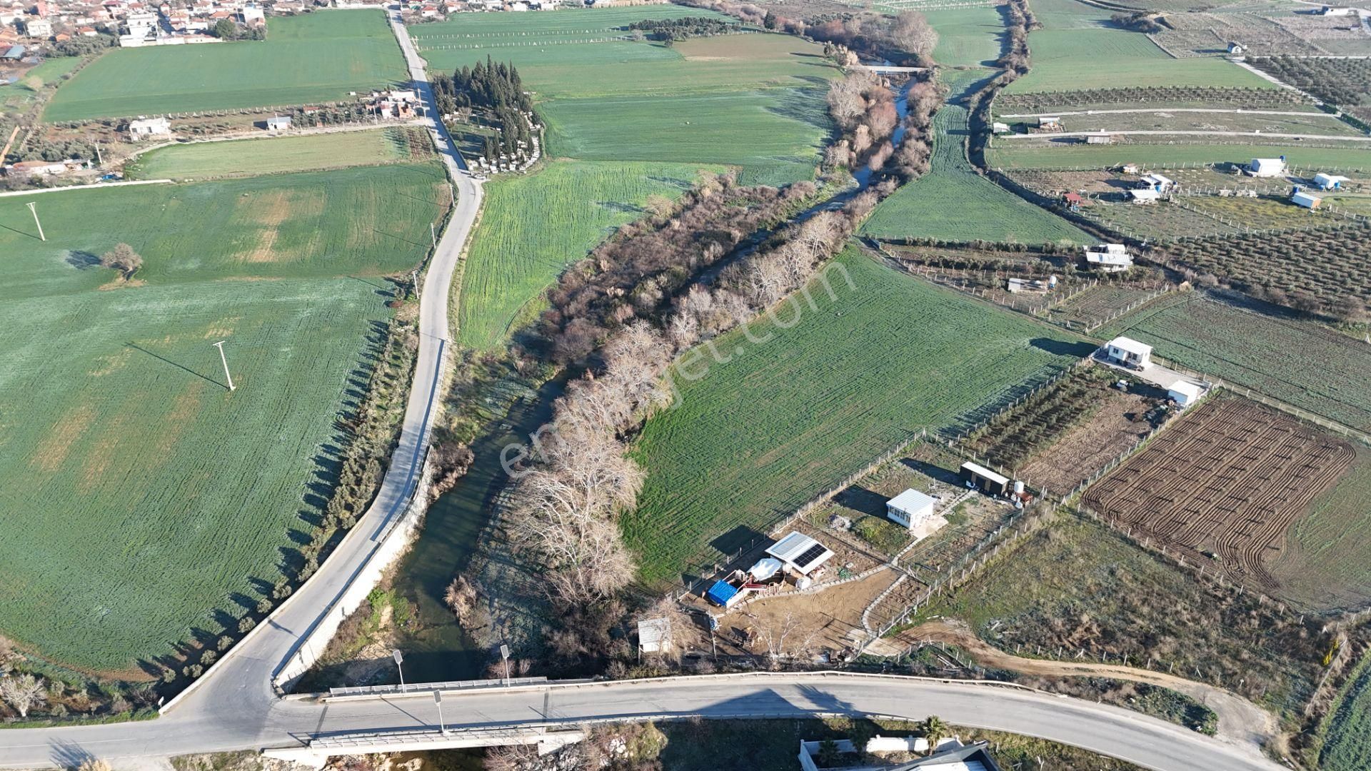 İzmir Menderes Develide 8,5dönüm Tek Müstakil Anayolda 3 Hisseli Tamamı Satılık - Görsel 33