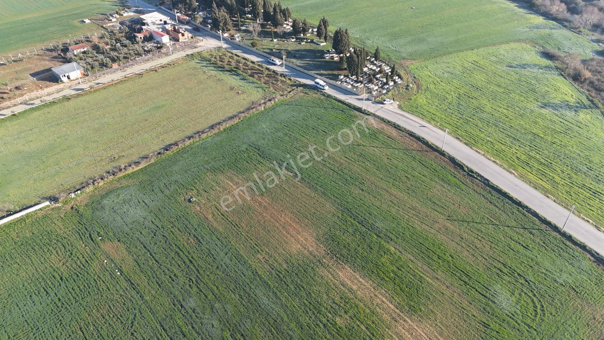 İzmir Menderes Develide 8,5dönüm Tek Müstakil Anayolda 3 Hisseli Tamamı Satılık - Görsel 31