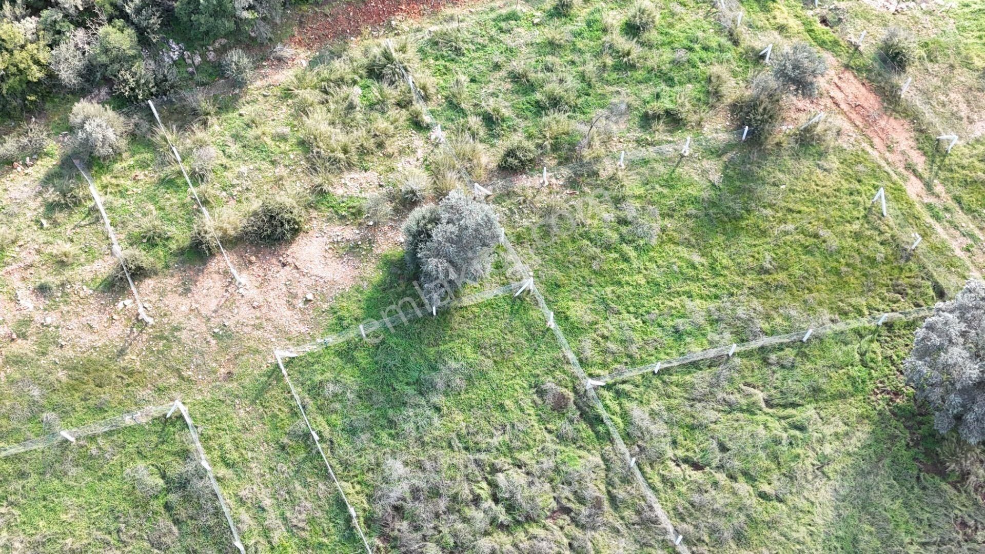 Menderes Gölovada Satılık 247 M2 Arazi - Görsel 7