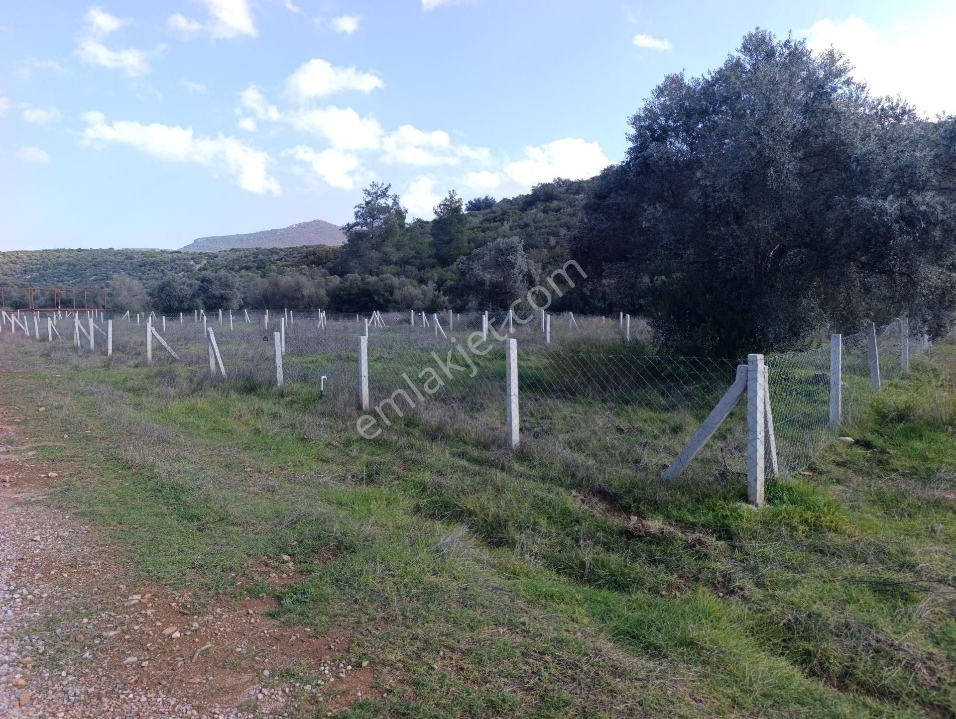 Menderes Gölovada Satılık 247 M2 Arazi - Görsel 3