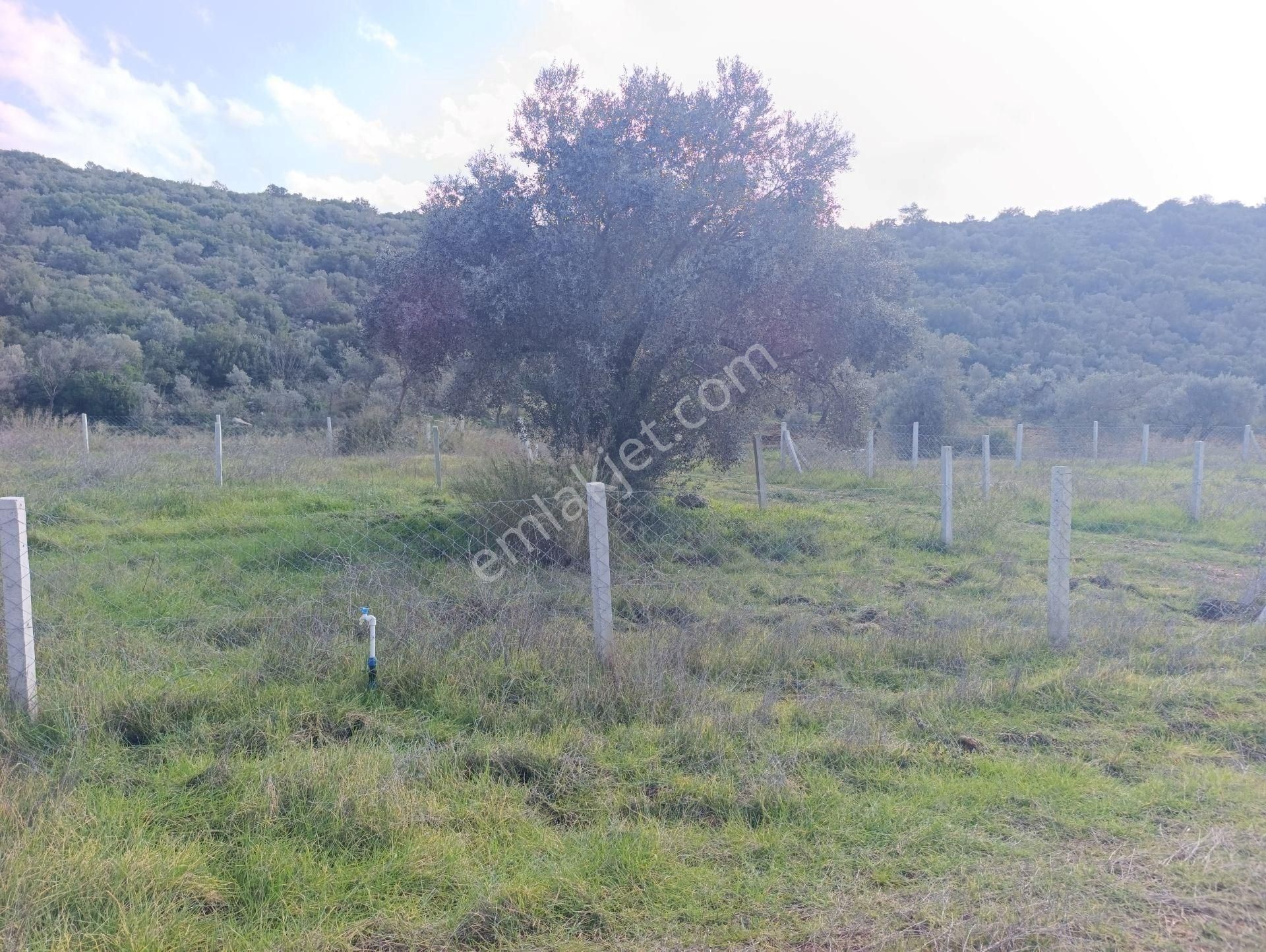 Menderes Gölovada Satılık 247 M2 Arazi - Görsel 5