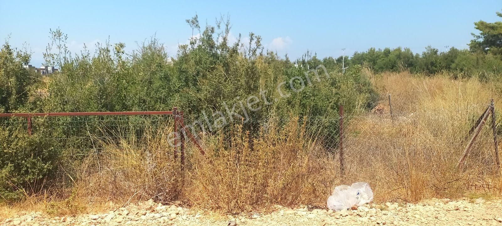 Odabaşı Palm Cty Villalar Yakınında İmarlı Villa Arsası - Görsel 5