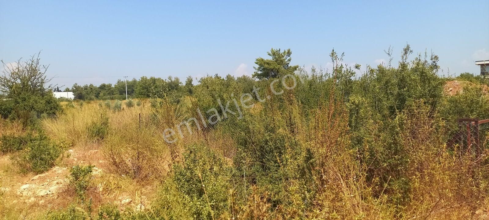 Odabaşı Palm Cty Villalar Yakınında İmarlı Villa Arsası - Görsel 2