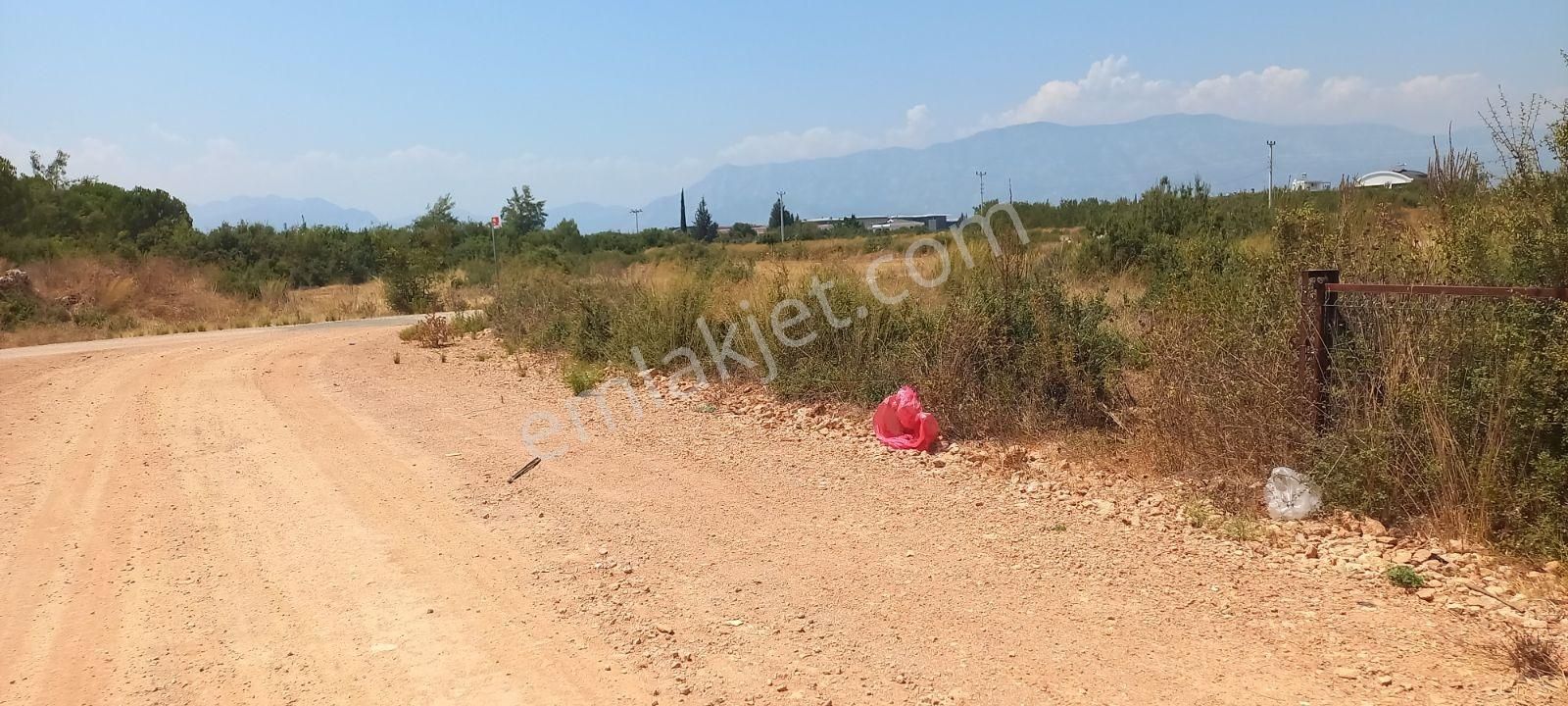Odabaşı Palm Cty Villalar Yakınında İmarlı Villa Arsası - Görsel 10