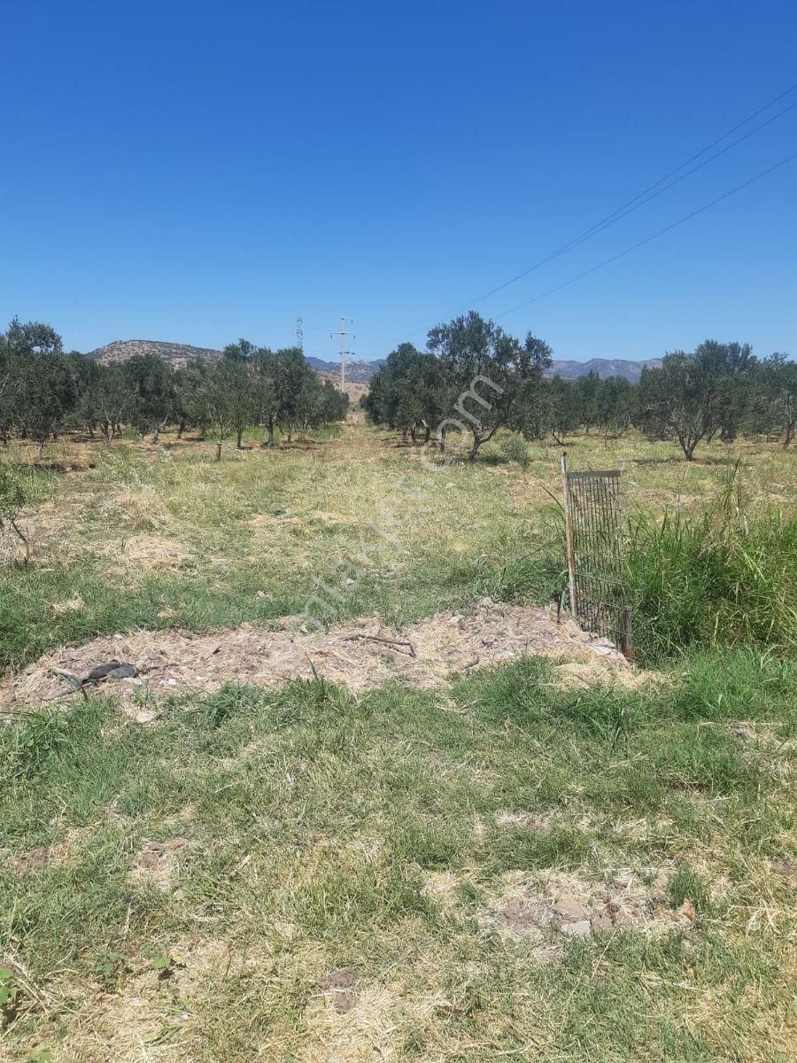 Kabakum Guzelbelde Sit. Dublex 3+1 - Görsel 34