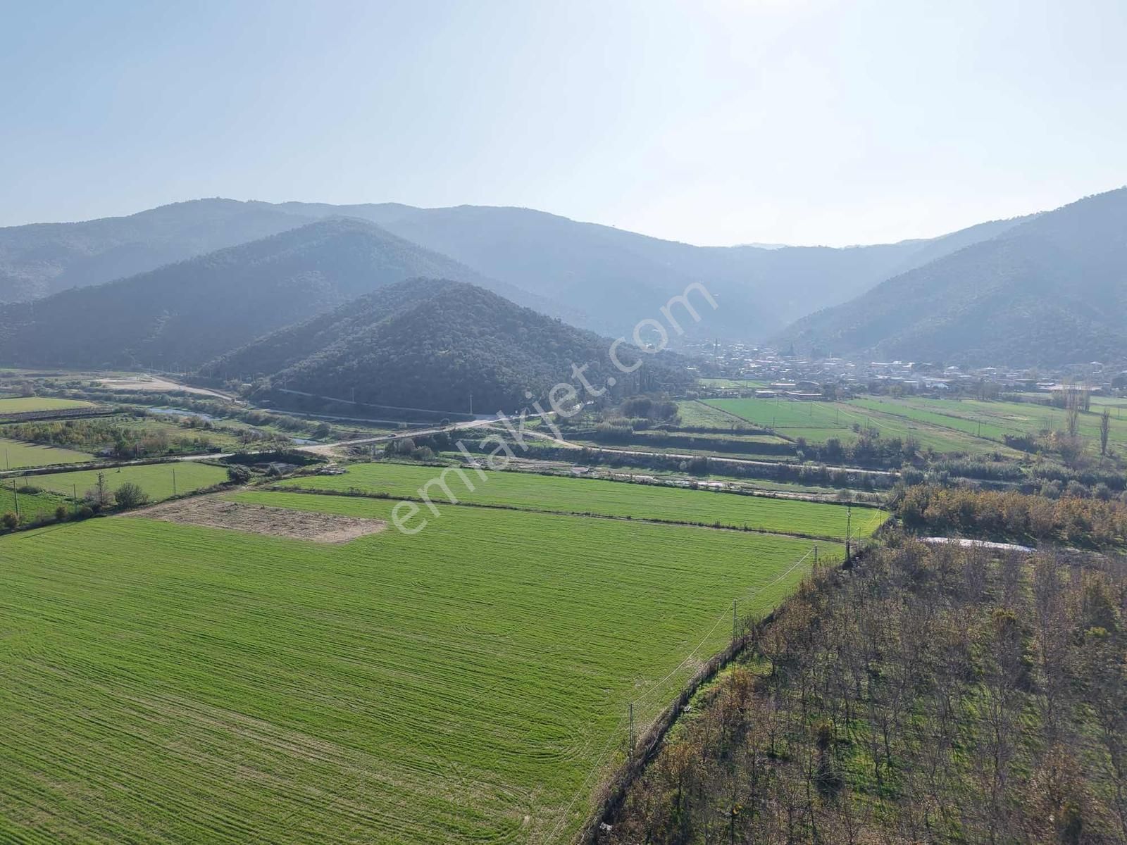 Aydın Bahçearasın Da Satılık Toplam 14.328 M2 3 Tapu Tarla - Görsel 33