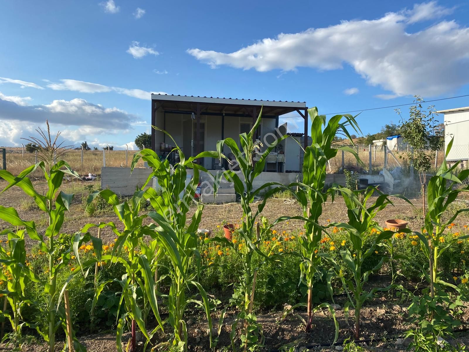 Ayaş Bayram Köyde 133/2 Parselde 750 M2 Hisse Tapulu Satılık Bahçe