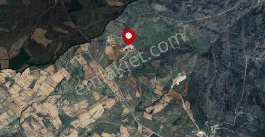 Kırklareli Yoğuntaş'ta Hazır Kurulu Satılık Muhteşem Çiftlik - Görsel 7