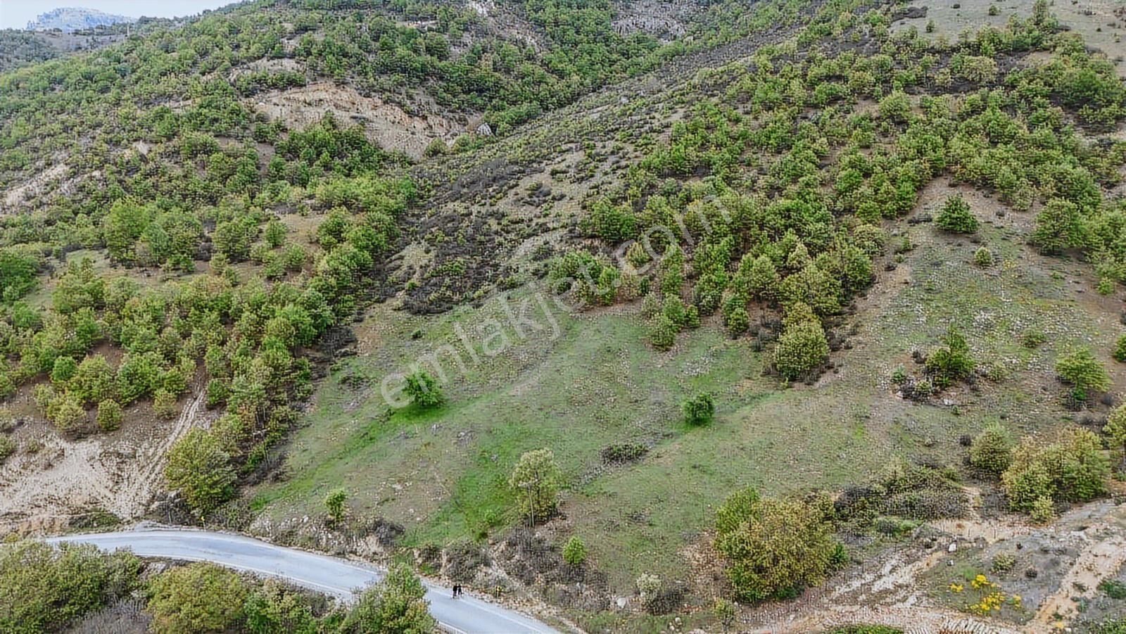 Bigadiç Çıtak'ta 553 M2 Bağ Nitelikli Müstakil Parsel - Görsel 4