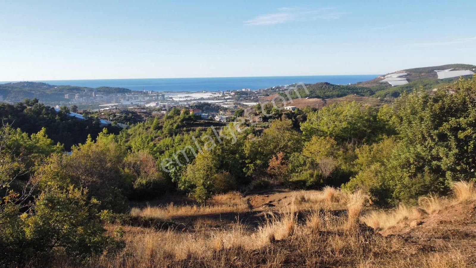 Alanya Yeşilöz De Full Panoramik Deniz Manzaralı Tarla - Görsel 17