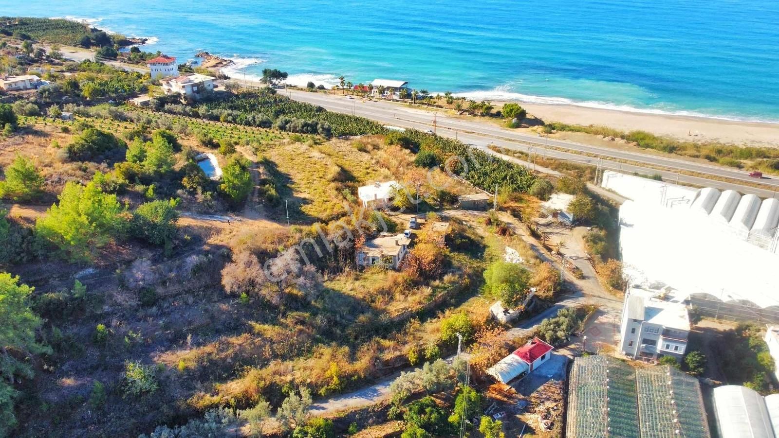 Alanya Yeşilöz De Full Panoramik Deniz Manzaralı Tarla - Görsel 22