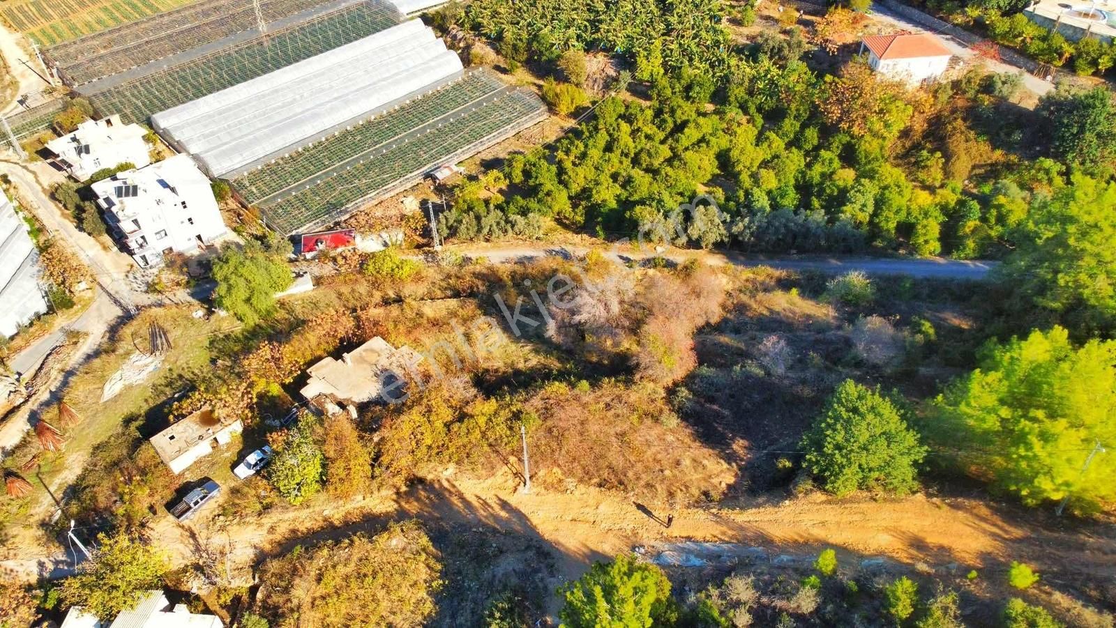 Alanya Yeşilöz De Full Panoramik Deniz Manzaralı Tarla - Görsel 7
