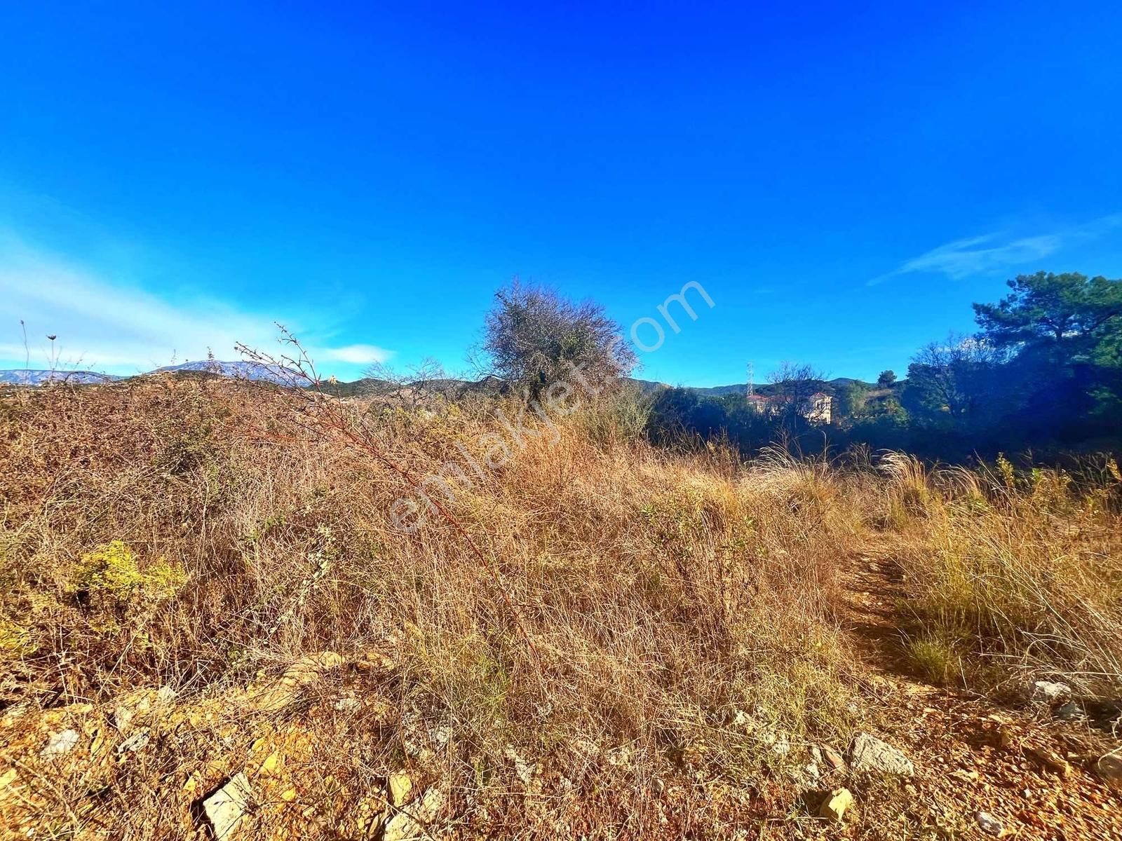 Alanya Yeşilöz De Full Panoramik Deniz Manzaralı Tarla - Görsel 6