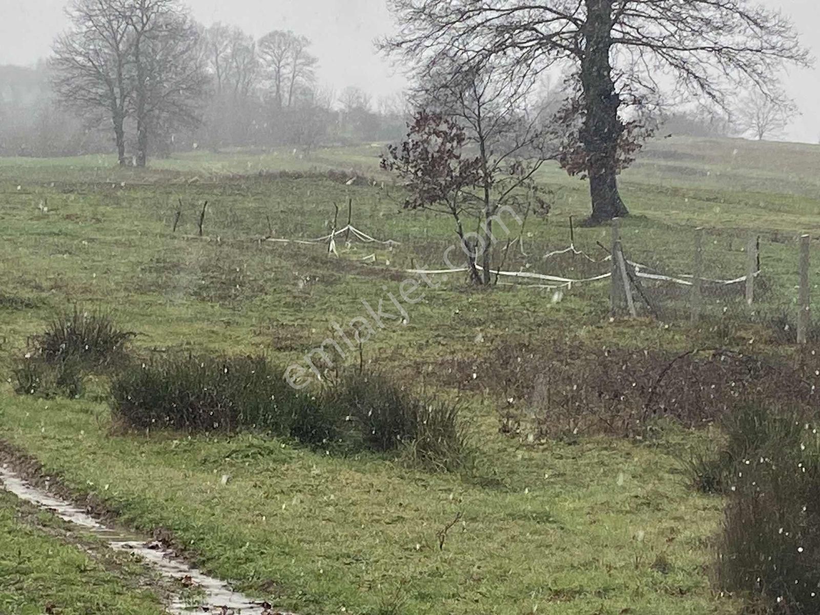 Vadi Den Resmi Yola Cepheli Arazi - Görsel 9