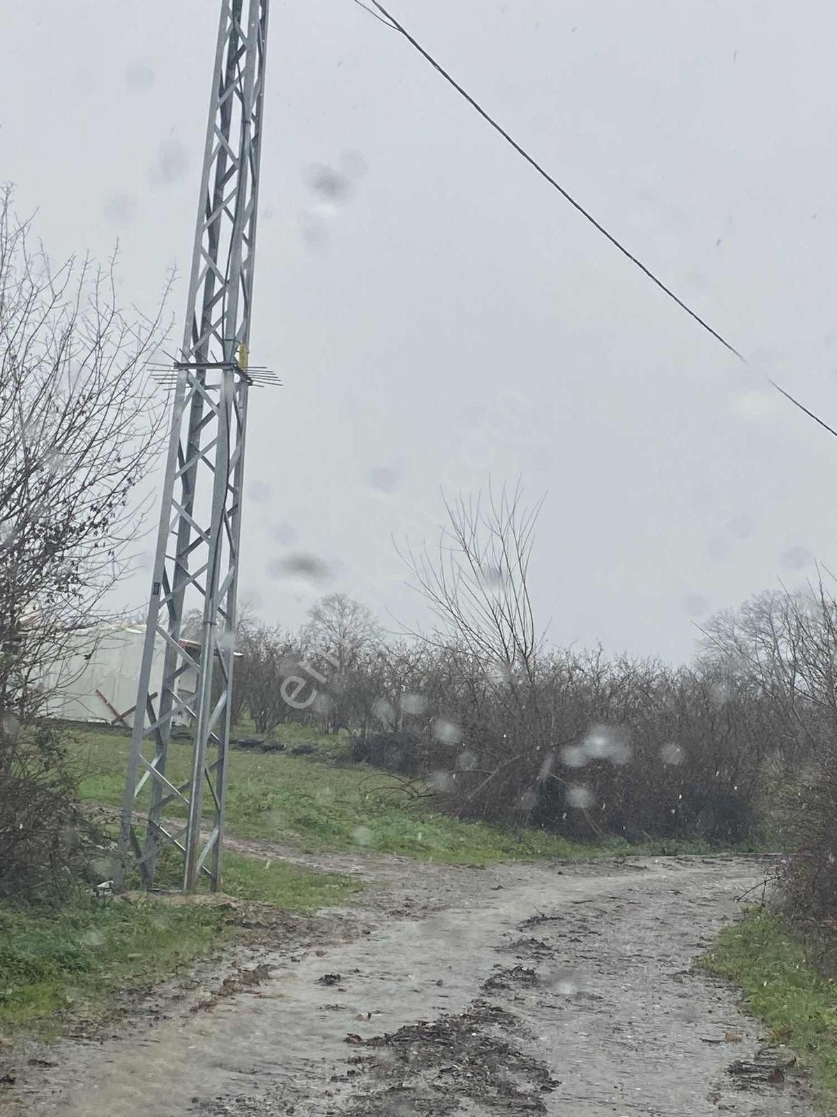 Vadi Den Resmi Yola Cepheli Arazi - Görsel 5