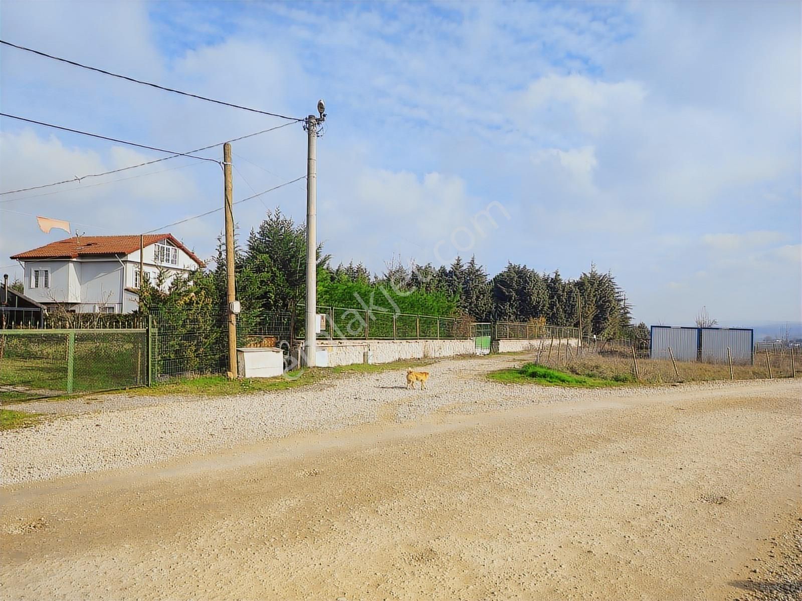 Tarcanlar'dan Körfez Kalburcu'da 4.454 M² Stabilize Yollu. - Görsel 32