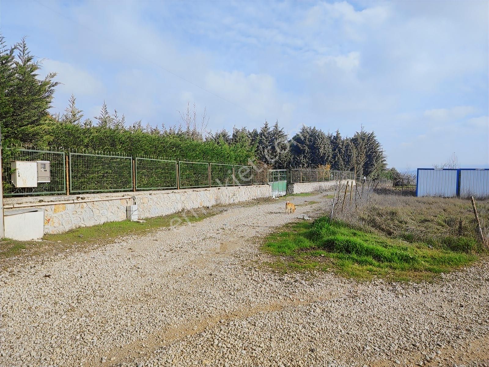 Tarcanlar'dan Körfez Kalburcu'da 4.454 M² Stabilize Yollu. - Görsel 33