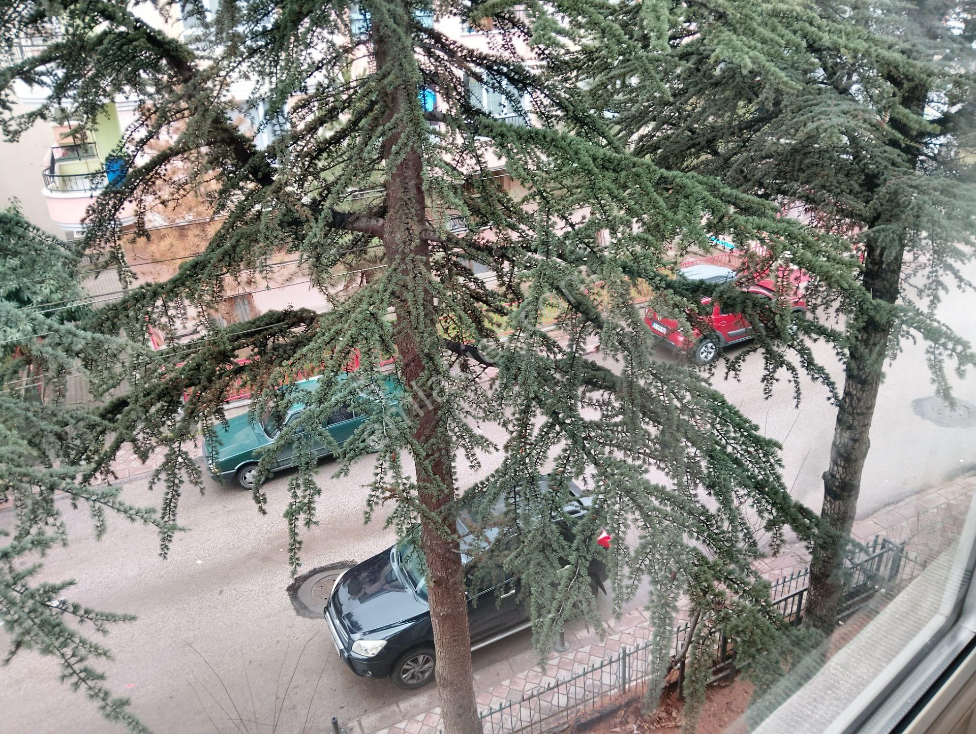 Keçiören Çaldıran Mahallesinde Yapılı 3+1 Yapılı - Görsel 22