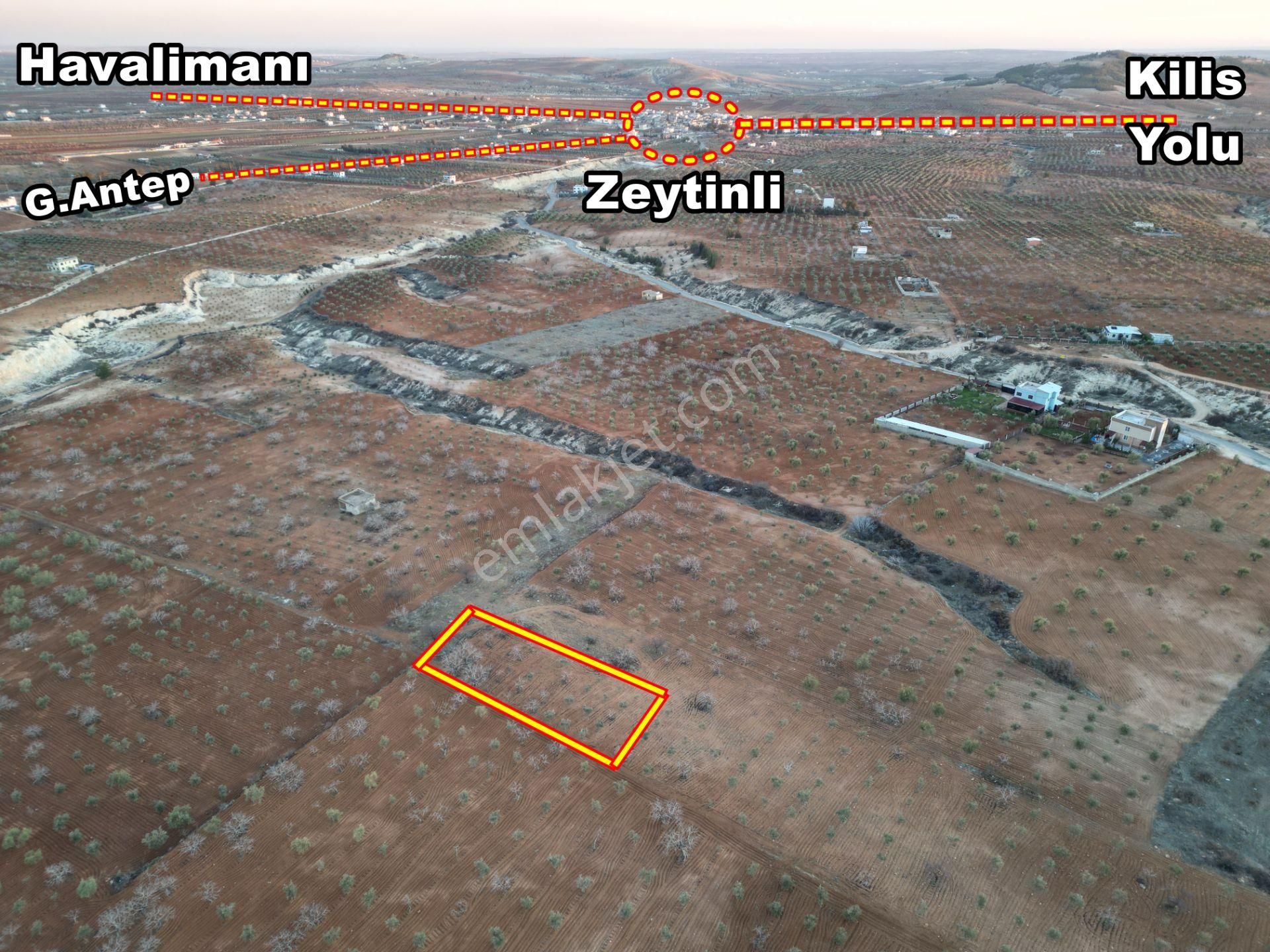 Körkün Villaları Yanı, 800 M2 Bağ Evlik Fıstık Zeytin Bahçesi - Görsel 3