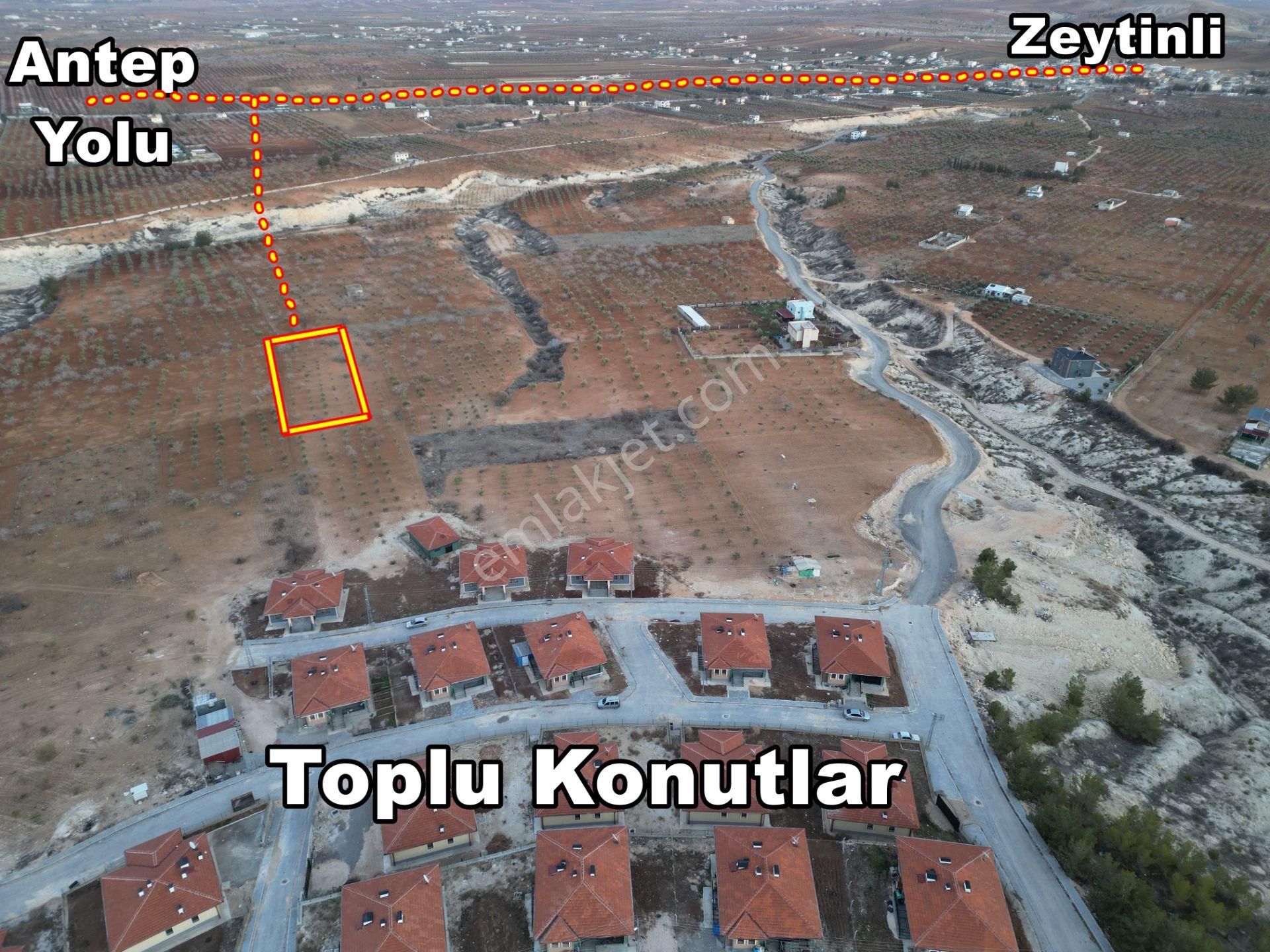 Körkün Villaları Yanı, 800 M2 Bağ Evlik Fıstık Zeytin Bahçesi - Görsel 4