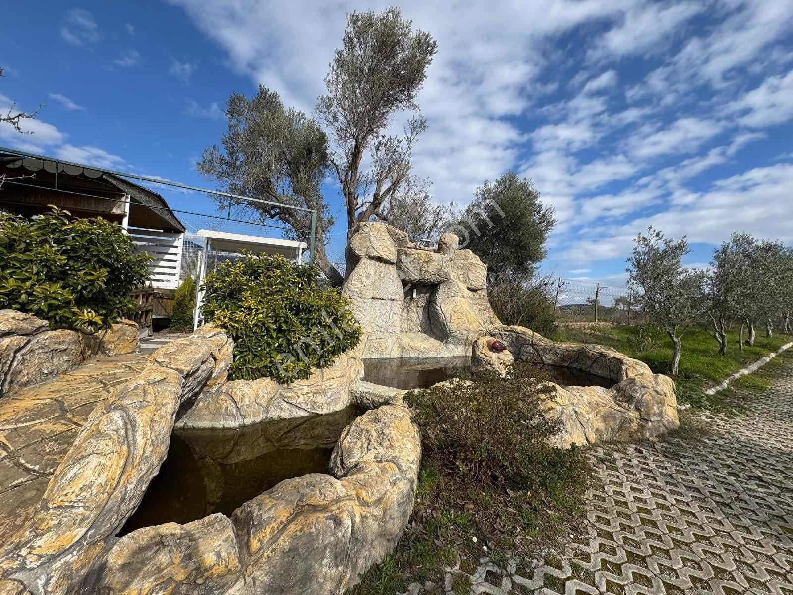 Buca Kırıklarda Dublex Havuzlu 4510m2 Çiftlik Evi Ve Arazisi - Görsel 2