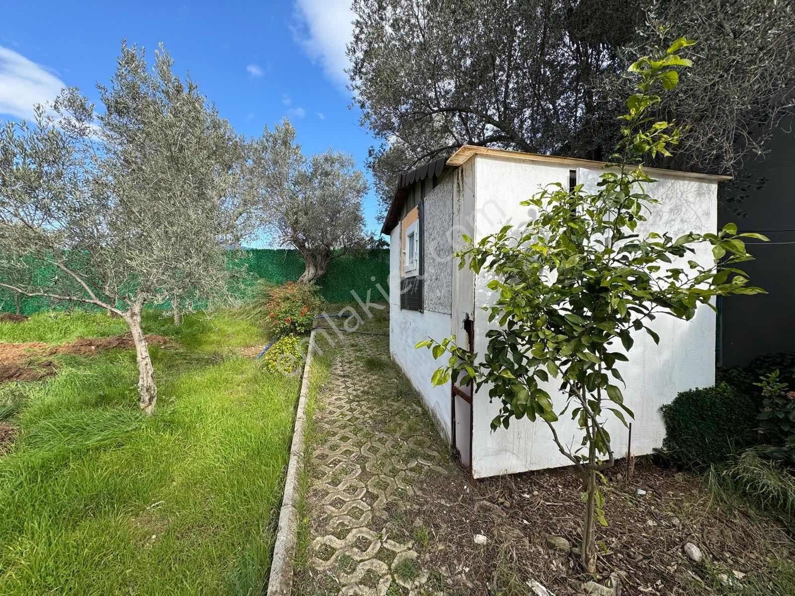 Buca Kırıklarda Dublex Havuzlu 4510m2 Çiftlik Evi Ve Arazisi - Görsel 22