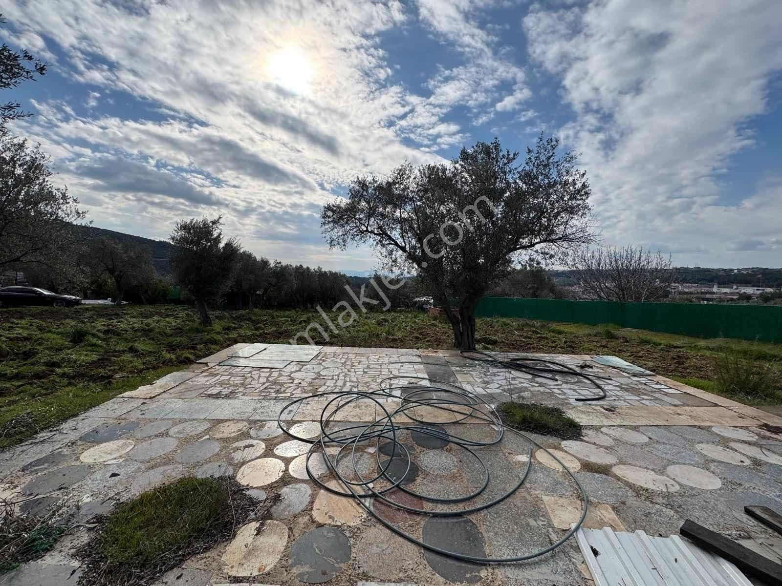 Buca Kırıklarda Dublex Havuzlu 4510m2 Çiftlik Evi Ve Arazisi - Görsel 21