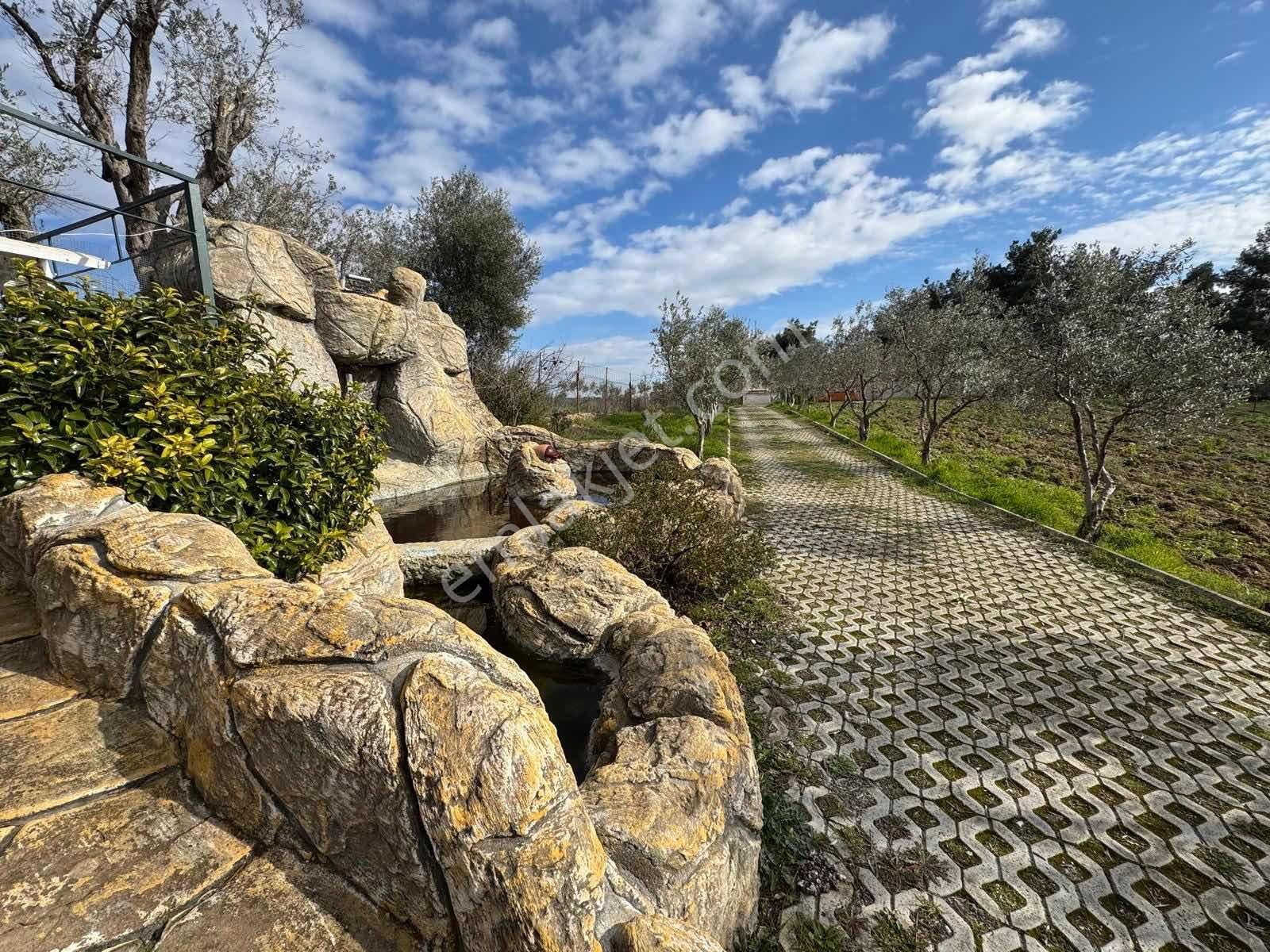 Buca Kırıklarda Dublex Havuzlu 4510m2 Çiftlik Evi Ve Arazisi - Görsel 18