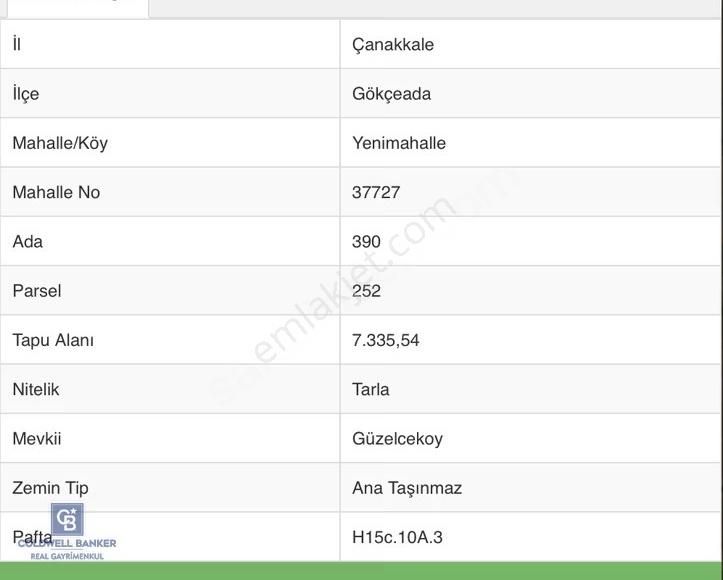 Gökçeada Yeni Mahalle Güzelce Koyunda Satılık 7335 M2 Tarla - Görsel 4