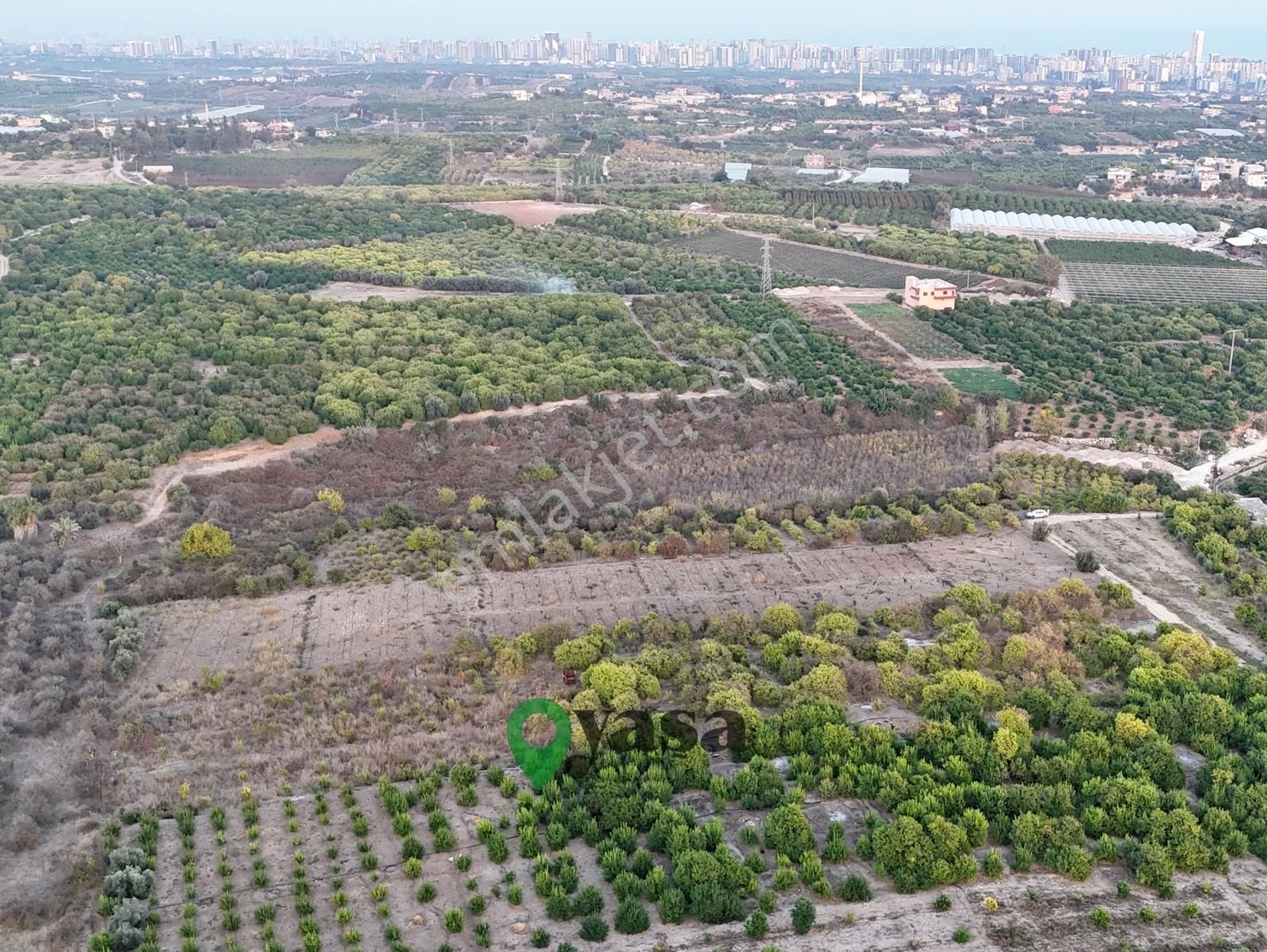 Yaşa Gyd - Tece'de 6.795 M² Satılık Limon Bahçesi - Görsel 5