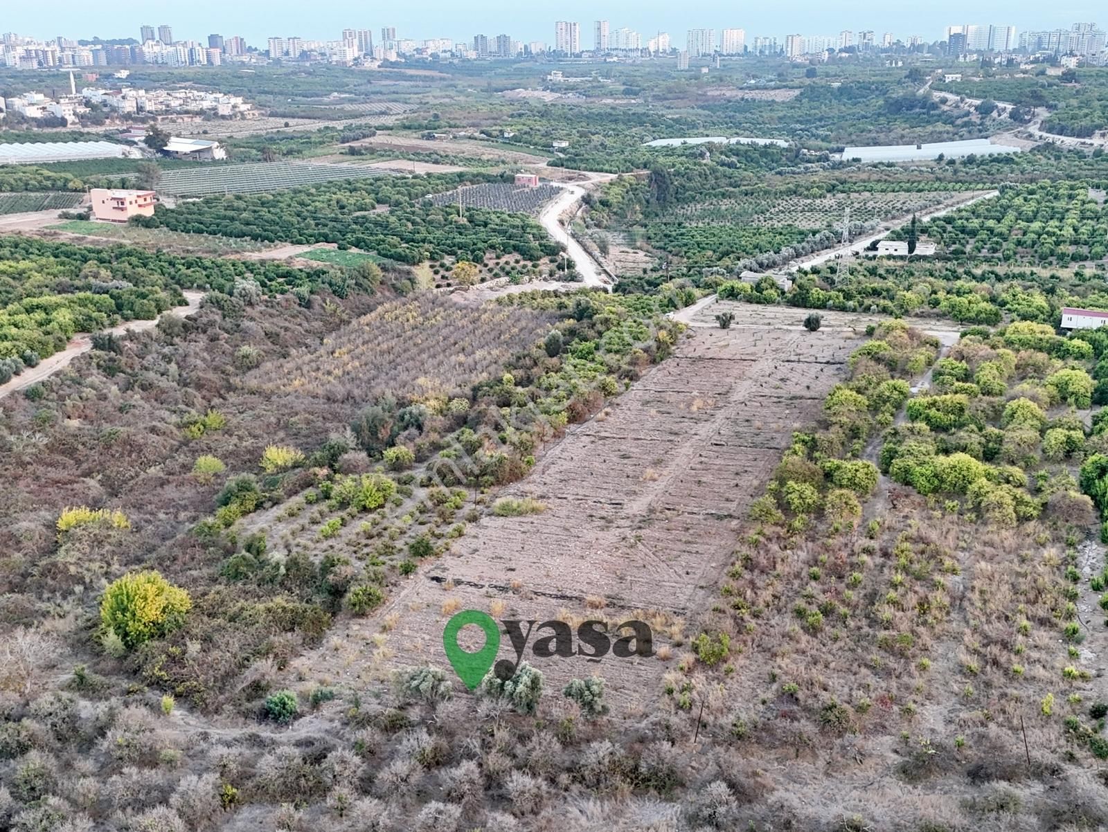 Yaşa Gyd - Tece'de 6.795 M² Satılık Limon Bahçesi - Görsel 2
