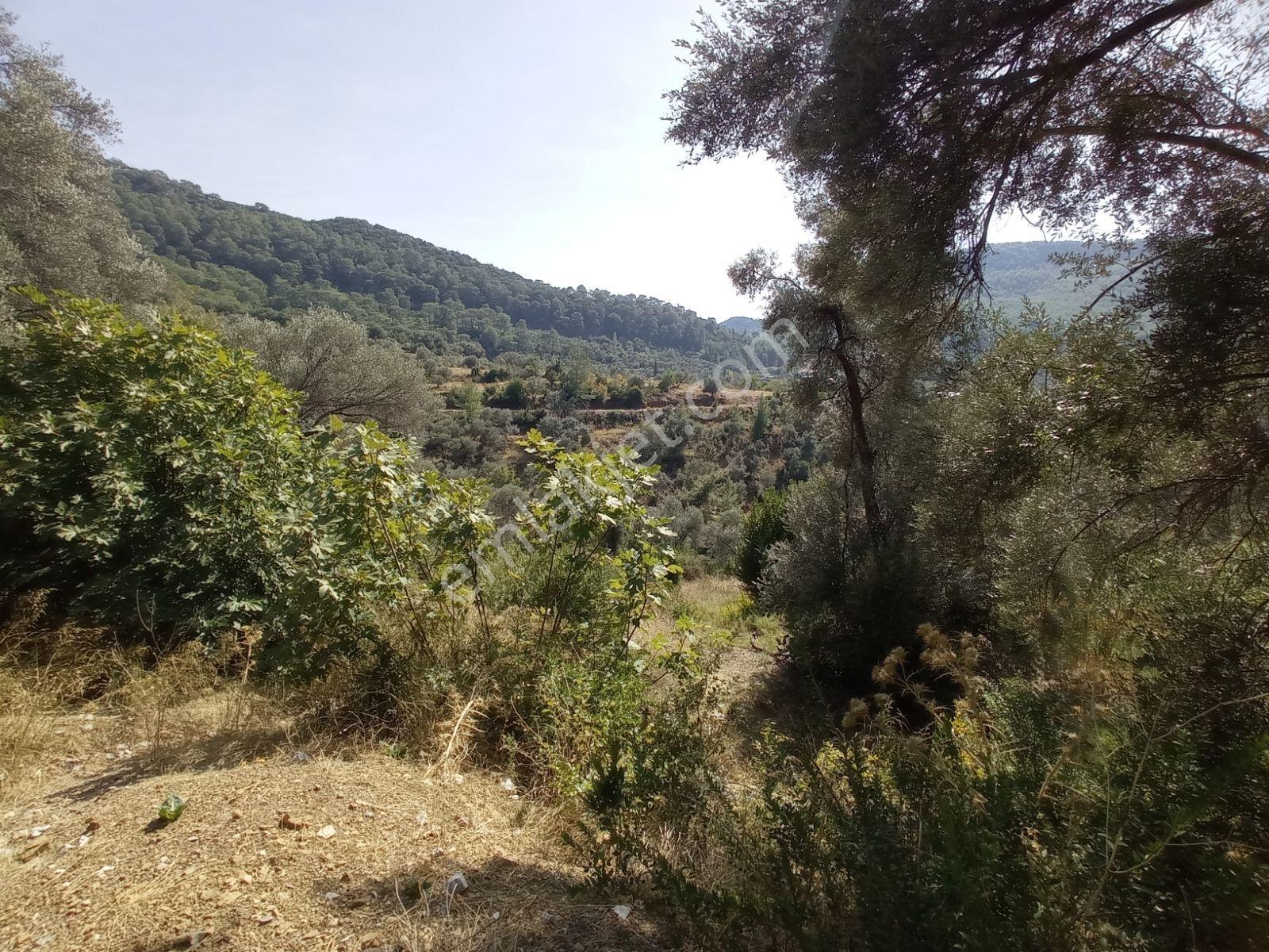 Fethiye Çenger Mah. Fırsat Arsa ( İmarlı ) - Görsel 8