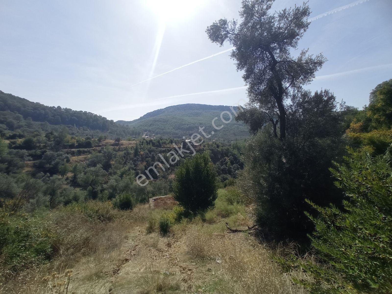 Fethiye Çenger Mah. Fırsat Arsa ( İmarlı ) - Görsel 11