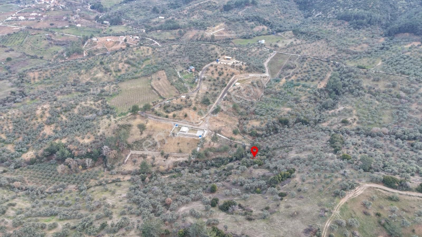 Kemalpaşa Da Satılık 7.615 M² Tek Tapu Fırsat Köye Yakın Bahçe - Görsel 4
