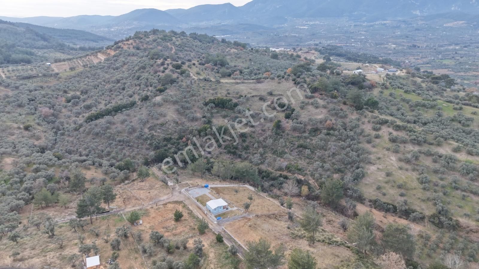 Kemalpaşa Da Satılık 7.615 M² Tek Tapu Fırsat Köye Yakın Bahçe - Görsel 5