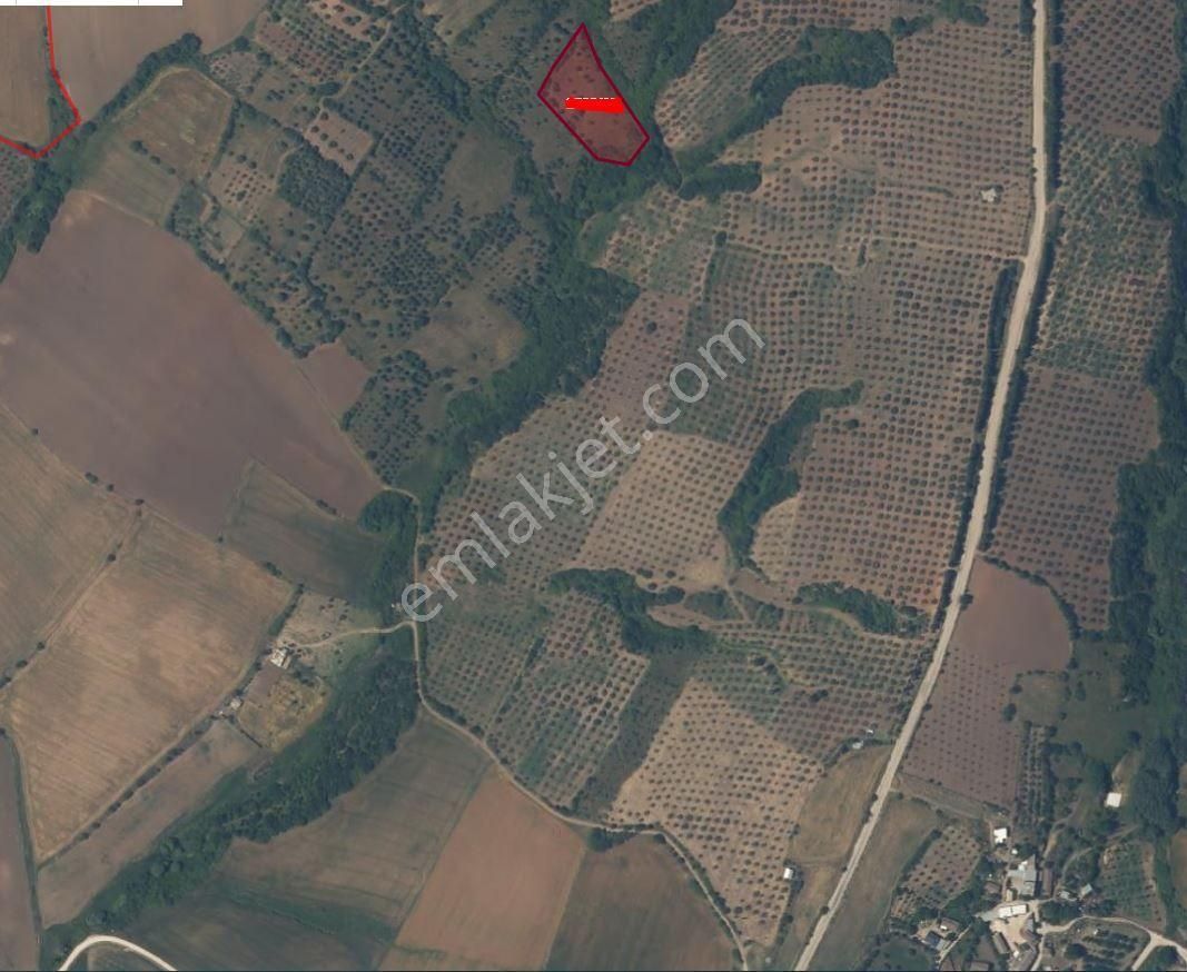 Bandırma Mahbubeler'de 4.816 Dönüm Satılık Arazi - Görsel 3