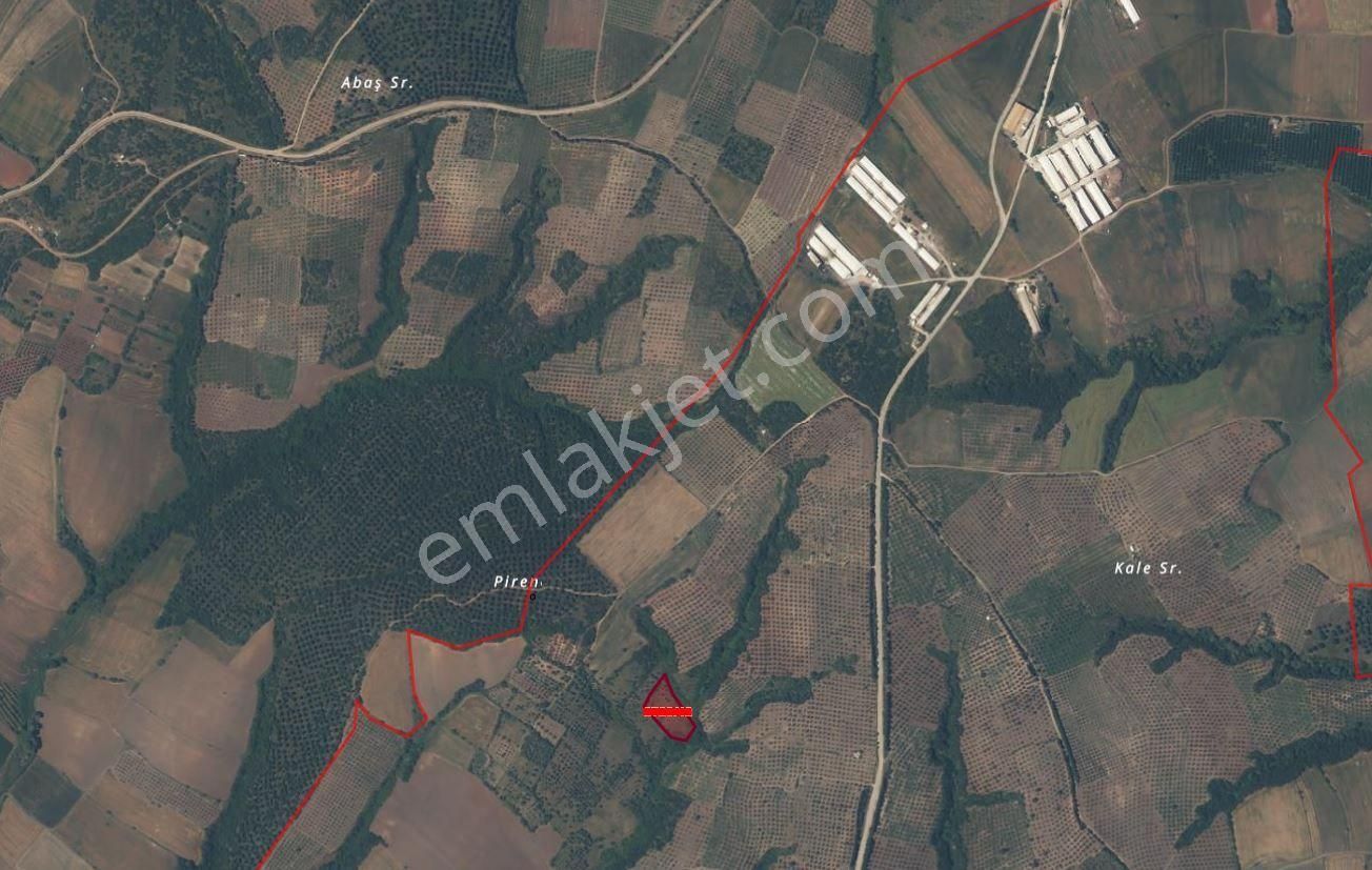 Bandırma Mahbubeler'de 4.816 Dönüm Satılık Arazi