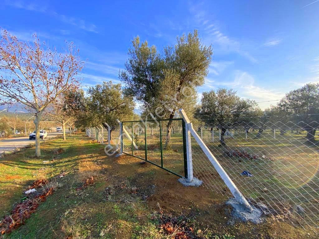 Mera Emlaktan Tuzcumurat Mh Üniversite Yanı 726 M2 İmarlı Arsa - Görsel 12