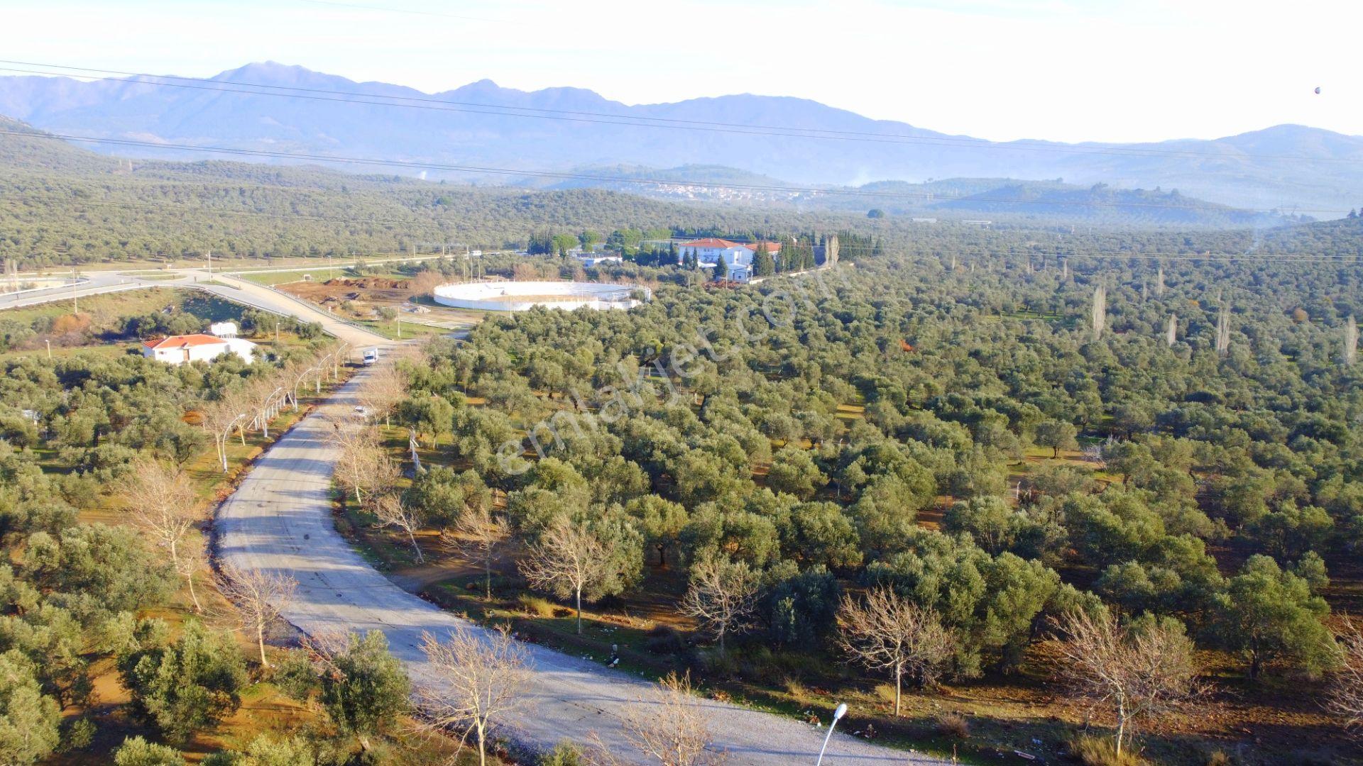 Mera Emlaktan Tuzcumurat Mh Üniversite Yanı 726 M2 İmarlı Arsa - Görsel 28