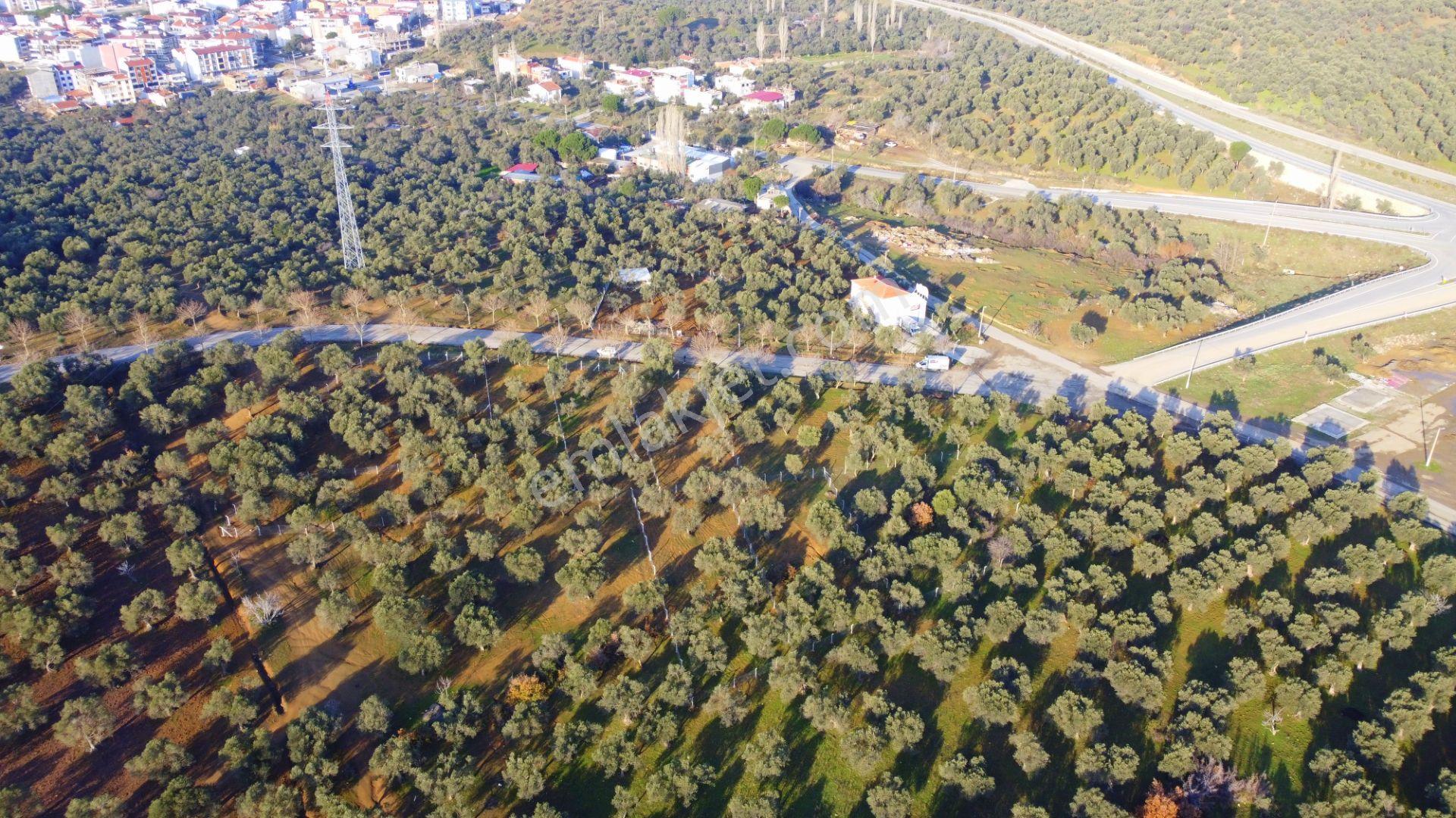Mera Emlaktan Tuzcumurat Mh Üniversite Yanı 726 M2 İmarlı Arsa - Görsel 5