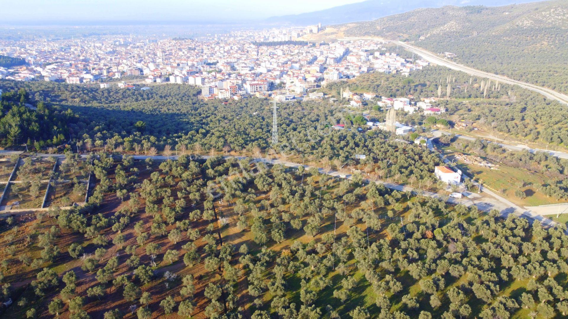 Mera Emlaktan Tuzcumurat Mh Üniversite Yanı 726 M2 İmarlı Arsa - Görsel 11