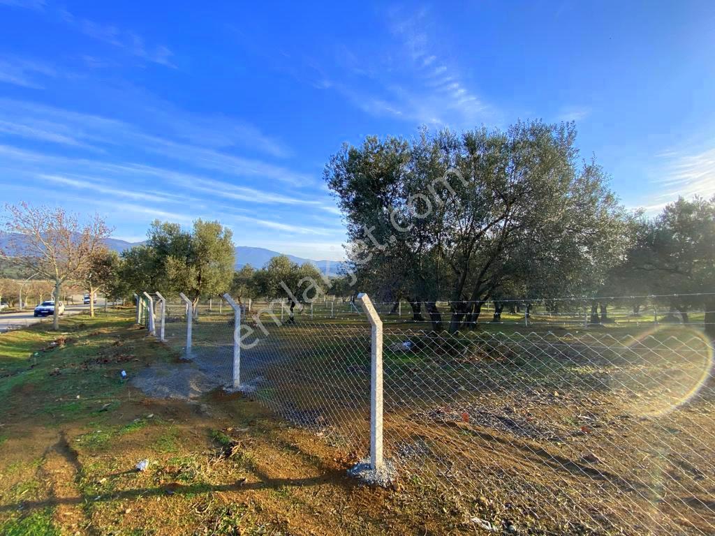 Mera Emlaktan Tuzcumurat Mh Üniversite Yanı 726 M2 İmarlı Arsa - Görsel 10