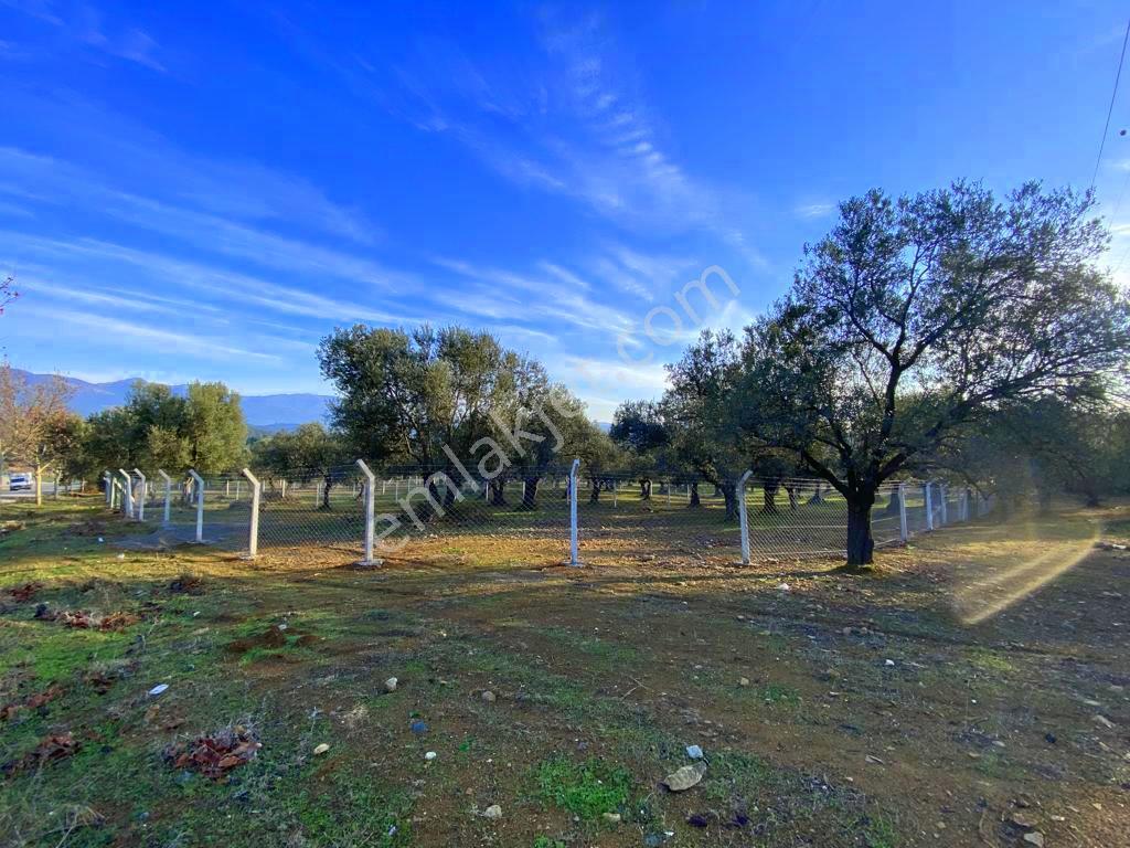 Mera Emlaktan Tuzcumurat Mh Üniversite Yanı 726 M2 İmarlı Arsa - Görsel 14